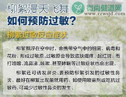 柳絮中存在新冠病毒吗 面对柳絮应该怎么做