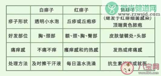 爽身粉对预防痱子有用吗 夏天长痱子怎么对症处理预防