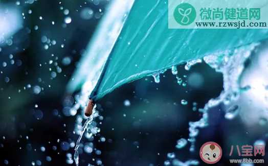 下雨天早上好的句子大全 下雨天温暖祝福语