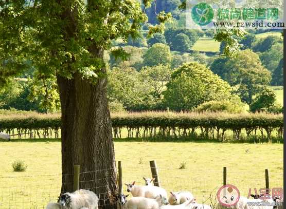 夏天过去了说说心情短语 夏天要结束了发朋友圈说说