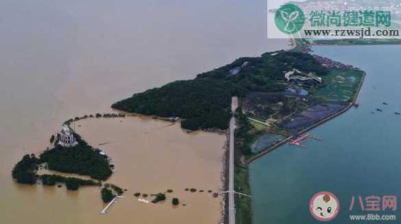 2020夏季的雨为什么这么多 雨水特别多的原因