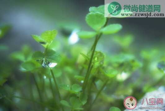 8月份为什么被称为鬼节 农历七月整个月份都是鬼节吗