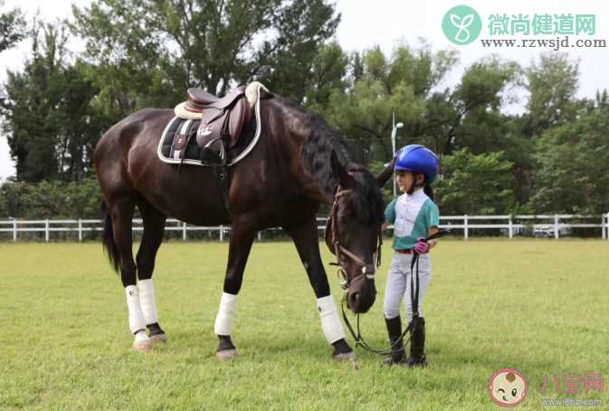 武汉哪些小学有试点马术课 武汉小学试点马术课名单