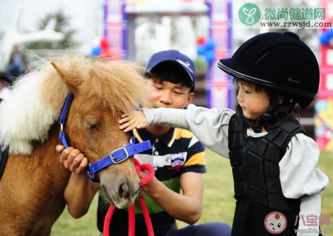 武汉哪些小学有试点马术课 武汉小学试点马术课名单