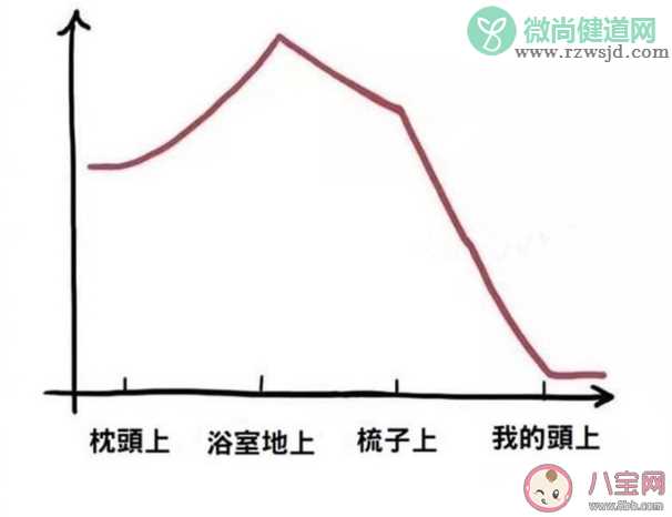 年轻人发量分布规律是什么样