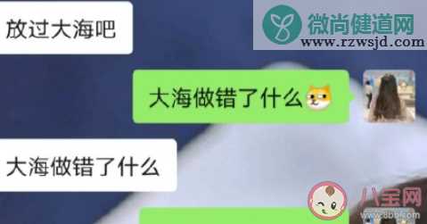 大海做错了什么是什么梗 关于大海做错了什么经典回