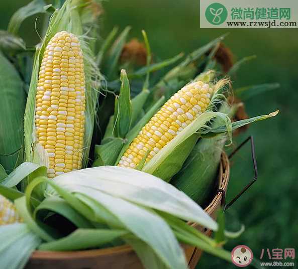 玉米价格每吨涨千元是怎么回事 玉米价格上涨的原因是什么