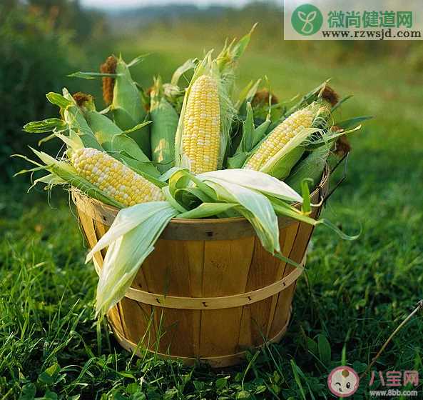 玉米价格每吨涨千元是怎么回事 玉米价格上涨的原因是什么