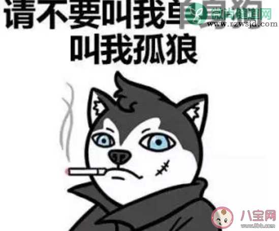 双十一单身狗发朋友圈的句子