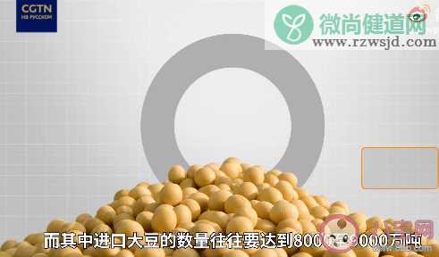 中国为什么需要进口大量大豆 食用大豆的大豆的营养