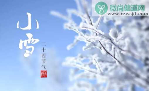 小雪节气养生吃什么食物好 