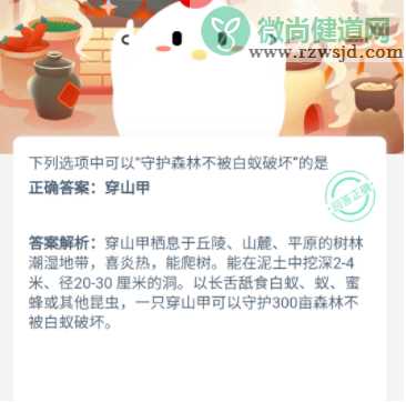 可以守护森林不被白蚁破坏的是什么动物 蚂蚁庄园11