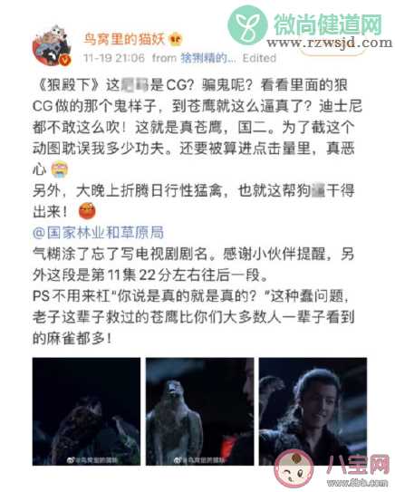 《狼殿下》苍鹰是真鹰还是CG制作  苍鹰是国家二级保护动物吗