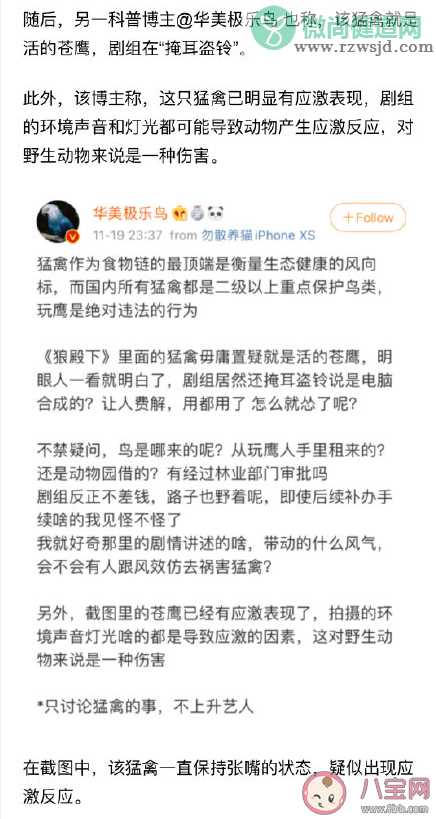 《狼殿下》苍鹰是真鹰还是CG制作  苍鹰是国家二级保护动物吗