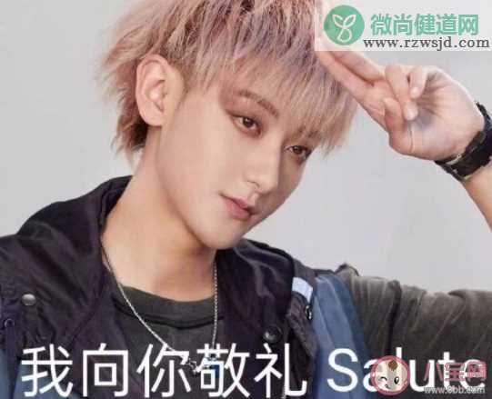 我向你敬礼salute是什么梗 我向你敬礼salute梗的出