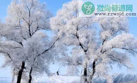 大雪节气经典祝福语带图片 大雪节气祝福短信大全