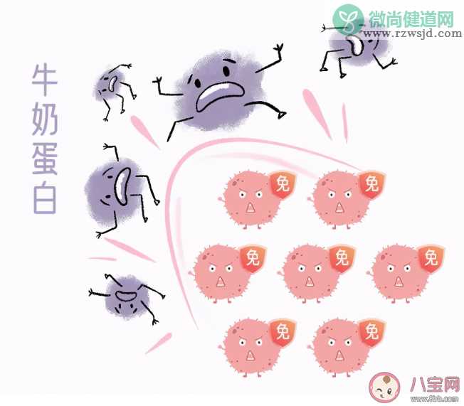 牛奶蛋白过敏和乳糖不耐受区分重点 分别怎么解决