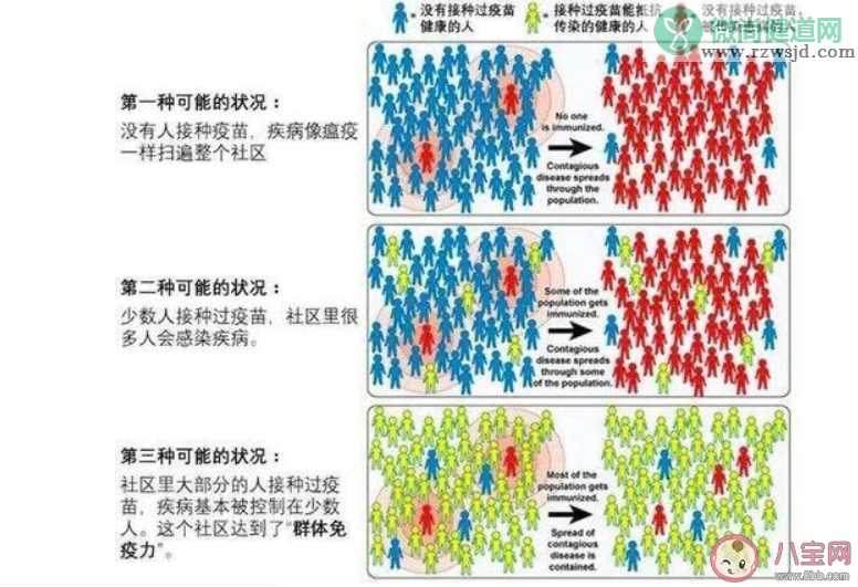 群体免疫可行吗 群体免疫能遏制新冠状病毒吗