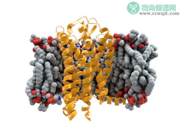 基因编辑婴儿父母是谁 基因编辑婴儿父母为什么愿意做实验