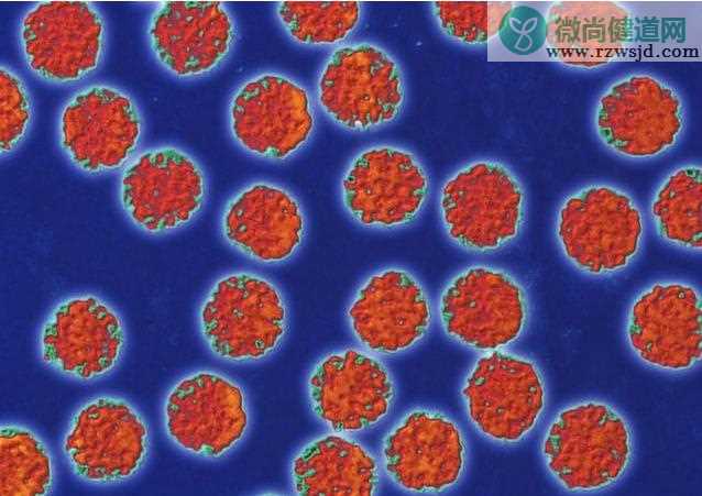 怎么区分寒咳和热咳 风寒感冒和风热感冒共存怎么办