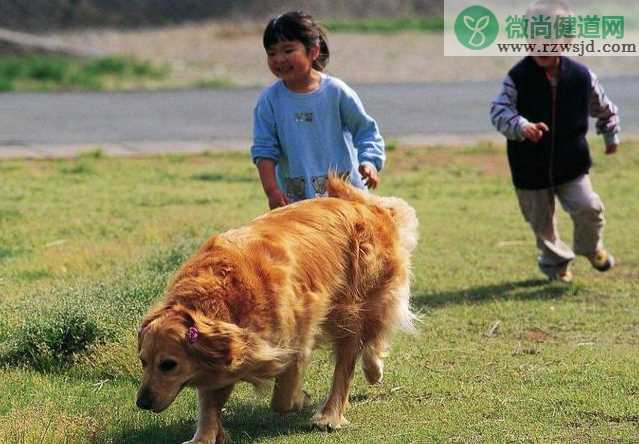 给孩子养宠物要满足什么条件 养宠物对孩子的成长的好处