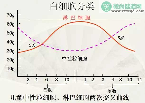 孩子血常规异常是什么情况 