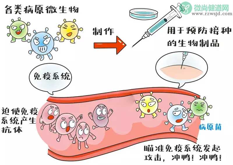 手足口病高发期打疫苗来得及吗 手足口病疫苗打了发烧是什么原因