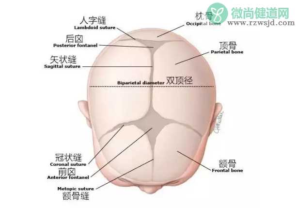 宝宝囟门能见风吗 宝宝囟门