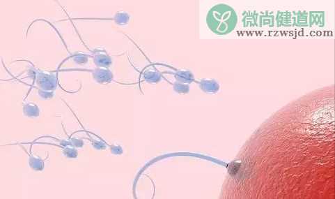 精子不液化是什么原因造成的 精子不液化还能怀孕吗