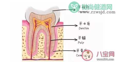 牙齿特别的敏感怎么办好 可