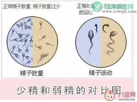 弱精症还能怀孕吗 弱精症有办法怀上小孩吗