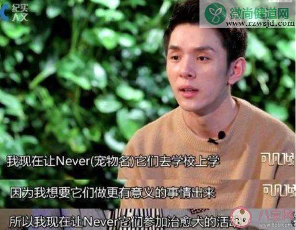 李佳琦送never去当治愈犬是真的吗 李佳琦为什么送never去当治愈犬