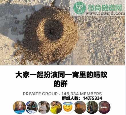 假装自己是蚂蚁是什么梗 假装自己是蚂蚁怎么玩