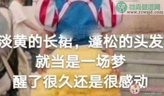 不一定需要糖和玫瑰是什么意