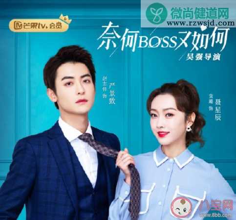 《奈何boss又如何》剧情讲的