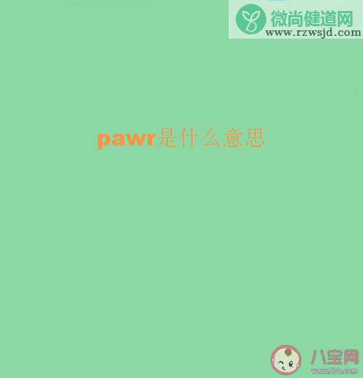 pawr是什么意思什么梗 pawr