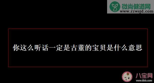 你这么听话上辈子一定是古董店的宝贝是什么梗 这句话是什么意思