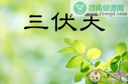 2020年三伏天有40天是真的吗 三伏天开始和结束时间