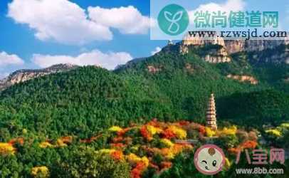 2020夏天山东去哪旅游最好 山东夏天避暑景点推荐