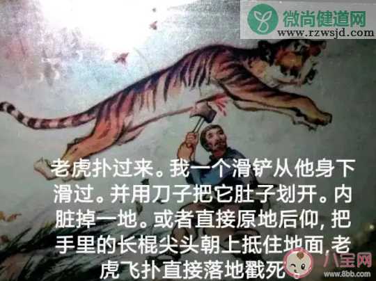 滑铲杀老虎是什么意思什么梗 滑铲杀老虎梗的来源出处介绍