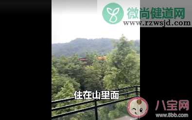 真不错住在山里真不错是什么梗 真不错住在山里真不错梗的出处是什么