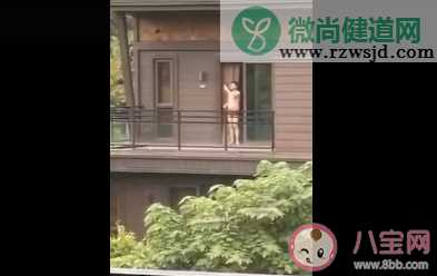 真不错住在山里真不错是什么梗 真不错住在山里真不错梗的出处是什么