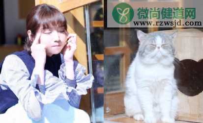 毛晓彤流泪猫猫头怎么回事 流泪猫猫头表情包图片