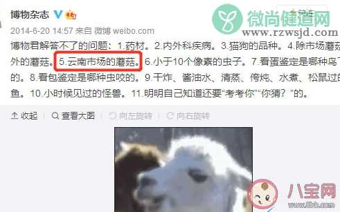 云南人吃蘑菇是什么意思什么梗 云南人吃蘑菇梗的出处是什么