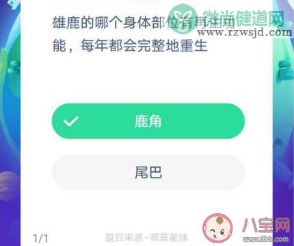 雄鹿的哪个身体部位有再生功能 蚂蚁庄园8月21日答案