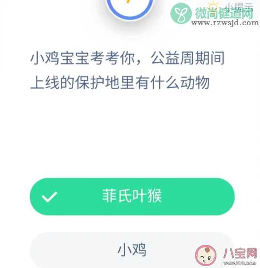 95公益周期间上线的保护地里