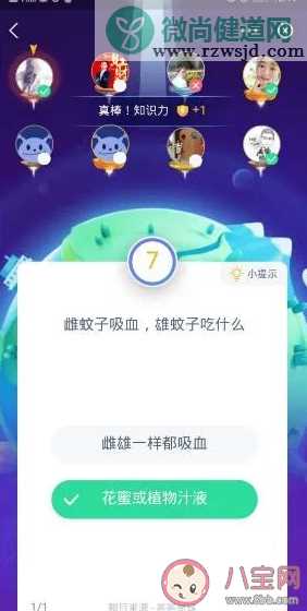 雌蚊子吸血雄蚊子吃什么 支付宝蚂蚁庄园9月13日答案