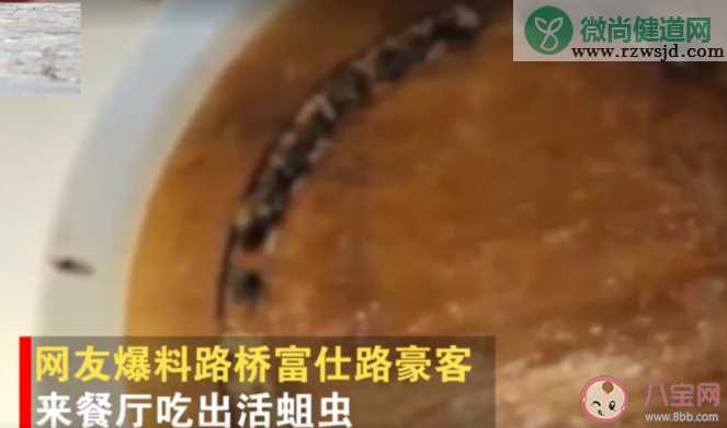 浙江牛排连锁餐厅吃出活蛆是什么原因导致 豪客来牛排餐厅卫生怎么样