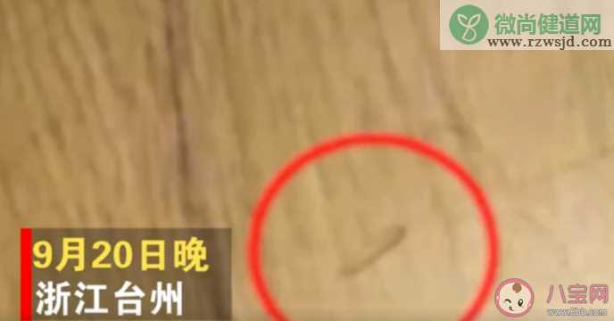 浙江牛排连锁餐厅吃出活蛆是什么原因导致 豪客来牛排餐厅卫生怎么样