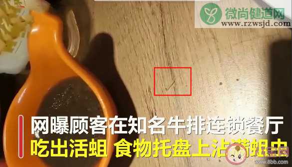 浙江牛排连锁餐厅吃出活蛆是什么原因导致 豪客来牛